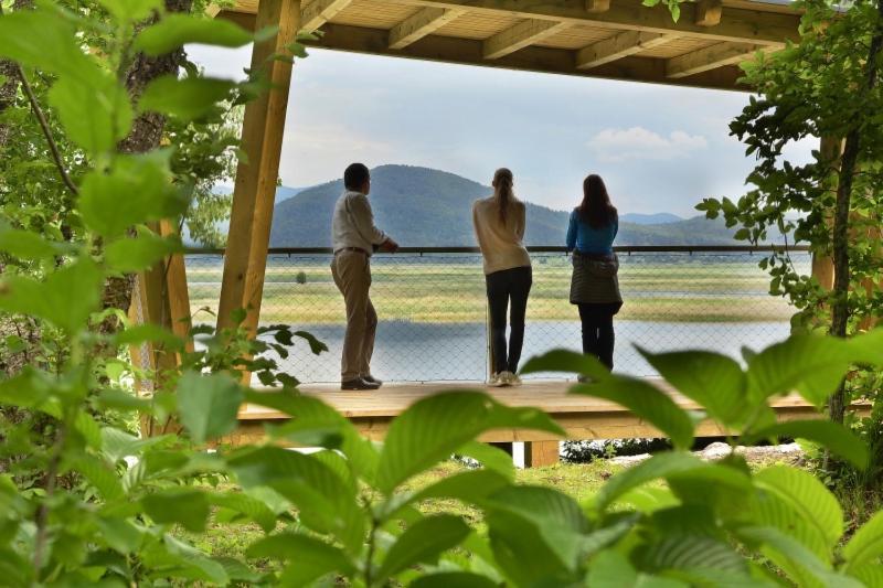 Ferienwohnung Hisa Zdravega Oddiha Begunje pri Cerknici Exterior foto